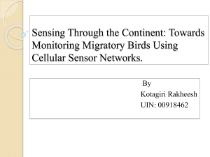 Sensing Through the Continent: Towards Monitoring Migratory Birds Using Cellular Sensor Networks. By