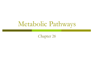 Metabolic Pathways Chapter 26