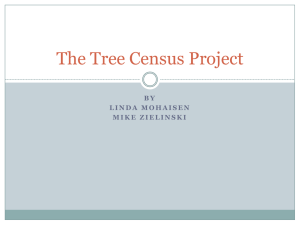 The Tree Census Project B Y