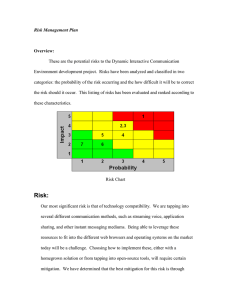 Risk Management Plan  Overview: