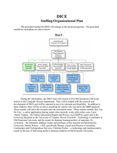 DICE Staffing/Organizational Plan
