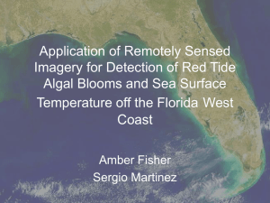 Application of Remotely Sensed Imagery for Detection of Red Tide