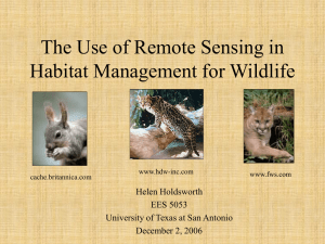 The Use of Remote Sensing in Habitat Management for Wildlife Helen Holdsworth