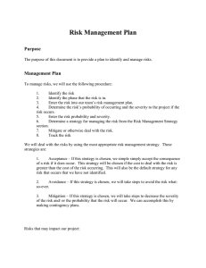 Risk Management Plan Purpose Management Plan