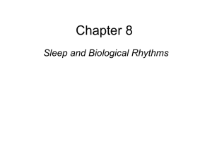 Chapter 8 Sleep and Biological Rhythms