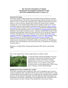 The Natural Communities of Virginia Classification of Ecological Community Groups