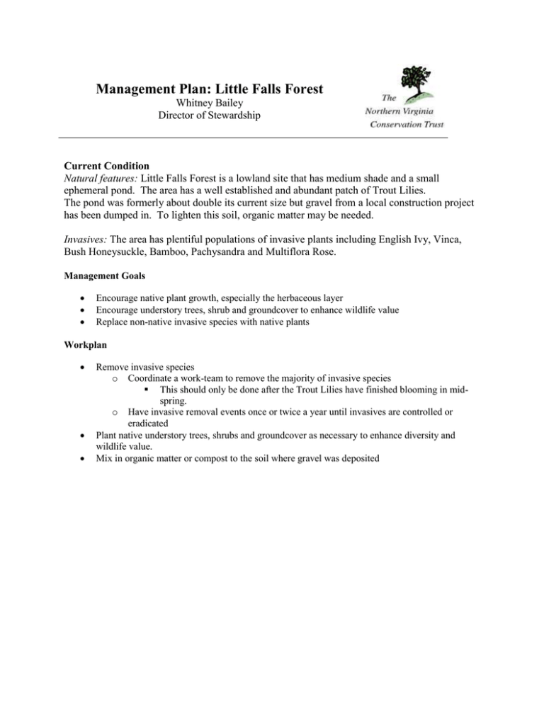 Management Plan Little Falls Forest