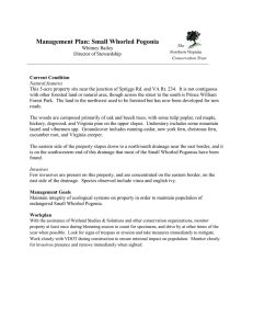 Management Plan: Small Whorled Pogonia