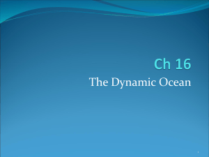 The Dynamic Ocean 1