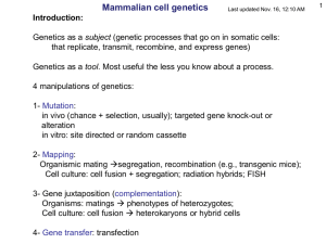Mammalian cell genetics