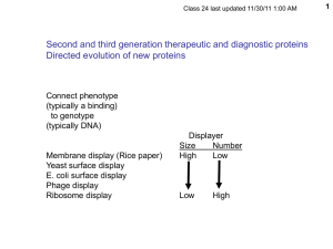 Second and third generation therapeutic and diagnostic proteins