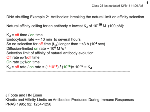DNA shuffling Example 2:  Antibodies: breaking the natural limit... Natural affinity ceiling for an antibody = lowest K