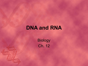 DNA and RNA Biology Ch. 12