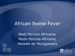 African Swine Fever Pesti Porcine Africaine, Peste Porcina Africana, Maladie de Montgomery