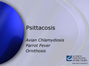 Psittacosis Avian Chlamydiosis Parrot Fever Ornithosis