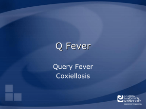 Q Fever Query Fever Coxiellosis