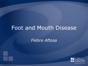 Foot and Mouth Disease Fiebre Aftosa