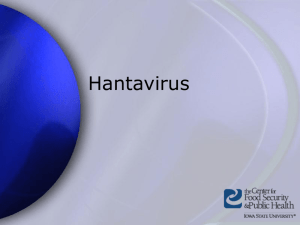 Hantavirus