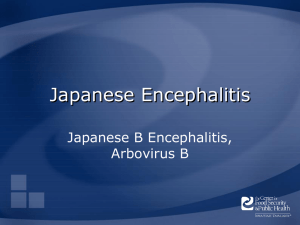 Japanese Encephalitis Japanese B Encephalitis, Arbovirus B