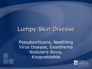 Lumpy Skin Disease Pseudourticaria, Neethling Virus Disease, Exanthema Nodularis Bovis,