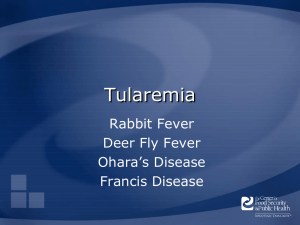 Tularemia Rabbit Fever Deer Fly Fever Ohara’s Disease
