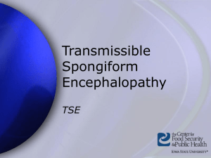 Transmissible Spongiform Encephalopathy TSE