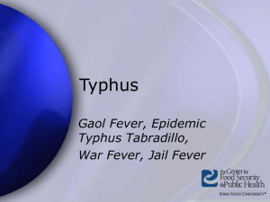 Typhus Gaol Fever, Epidemic Typhus Tabradillo, War Fever, Jail Fever