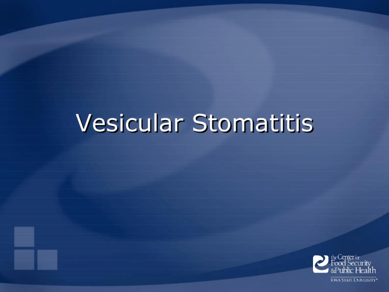 Vesicular Stomatitis