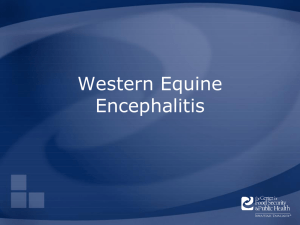 Western Equine Encephalitis