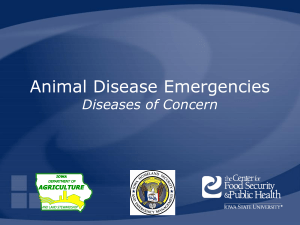 Animal Disease Emergencies Diseases of Concern