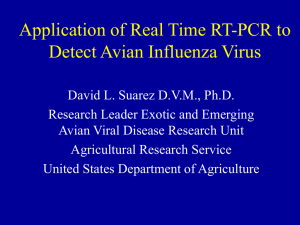 Application of Real Time RT-PCR to Detect Avian Influenza Virus