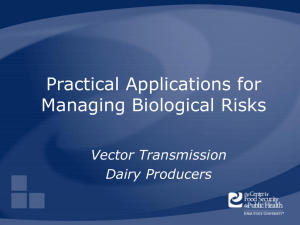 Practical Applications for Managing Biological Risks Vector Transmission Dairy Producers