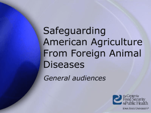 Safeguarding American Agriculture From Foreign Animal Diseases