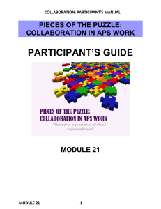 ’S GUIDE PARTICIPANT PIECES OF THE PUZZLE: COLLABORATION IN APS WORK