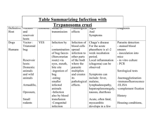 Table Summarizing Infection with Trypanosoma cruzi