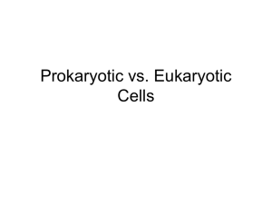 Prokaryotic vs. Eukaryotic Cells