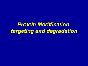 Protein Modification, targeting and degradation