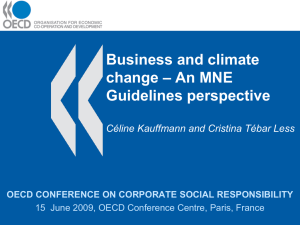 Business and climate – An MNE change Guidelines perspective