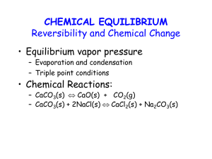CHEMICAL EQUILIBRIUM Reversibility and Chemical Change • Equilibrium vapor pressure • Chemical Reactions: