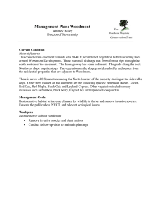 Management Plan: Woodmont
