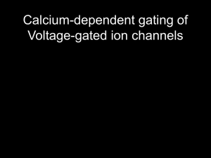 Calcium-dependent gating of Voltage-gated ion channels