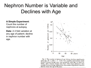 Nephron Number is Variable and Declines with Age A Simple Experiment Data: