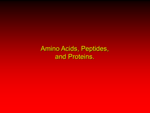 Amino Acids, Peptides, and Proteins.