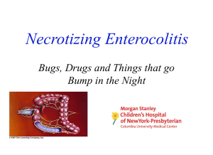 Necrotizing Enterocolitis Bugs, Drugs and Things that go Bump in the Night
