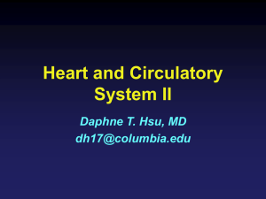 Heart and Circulatory System II Daphne T. Hsu, MD