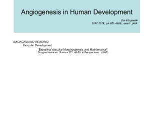 Angiogenesis in Human Development BACKGROUND READING: Vascular Development “Signaling Vascular Morphogenesis and Maintenance”