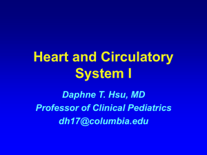 Heart and Circulatory System I Daphne T. Hsu, MD Professor of Clinical Pediatrics