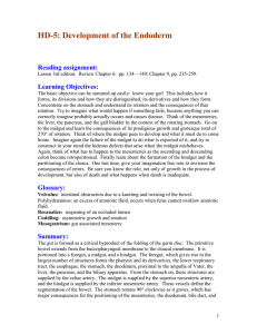 HD-5: Development of the Endoderm  Reading assignment: Learning Objectives: