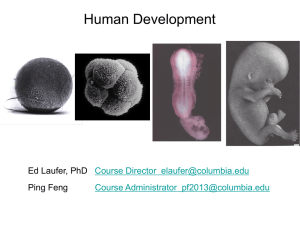 Human Development Ed Laufer, PhD  Course Director