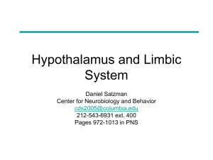 Hypothalamus and Limbic System Daniel Salzman Center for Neurobiology and Behavior